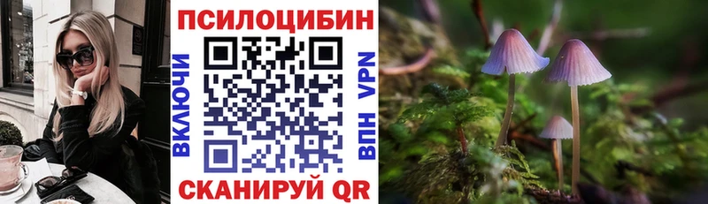 Купить где  Гай  Галлюциногенные грибы MAGIC MUSHROOMS 